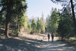 Walking through Little Yosemite Valley