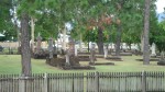 Old Cairns cemetary