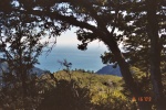 Pacific Ocean from Kings Crest Trail