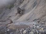 Landslide.  It's no wonder the state decided to not even try to continue Highway 1 through the Lost Coast