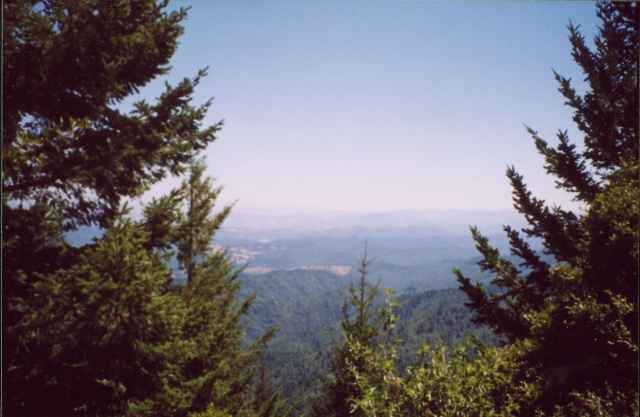 Looking East from the King Crest Trail