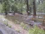 The night we left it started raining in the Valley.  This rain combined with the record snowfall run-off caused flooding in many areas of the park.  The Valley was evacuated soon after we left.  This is Yosemite Creek Bridge the day after.