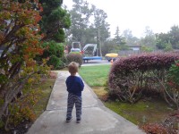 Highlight for Album: Sewer line replacement